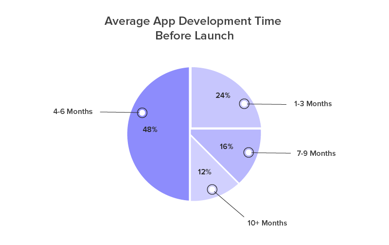Average app development Time before launch