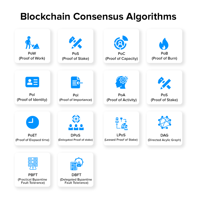 Blockchain Consensus Algorithms