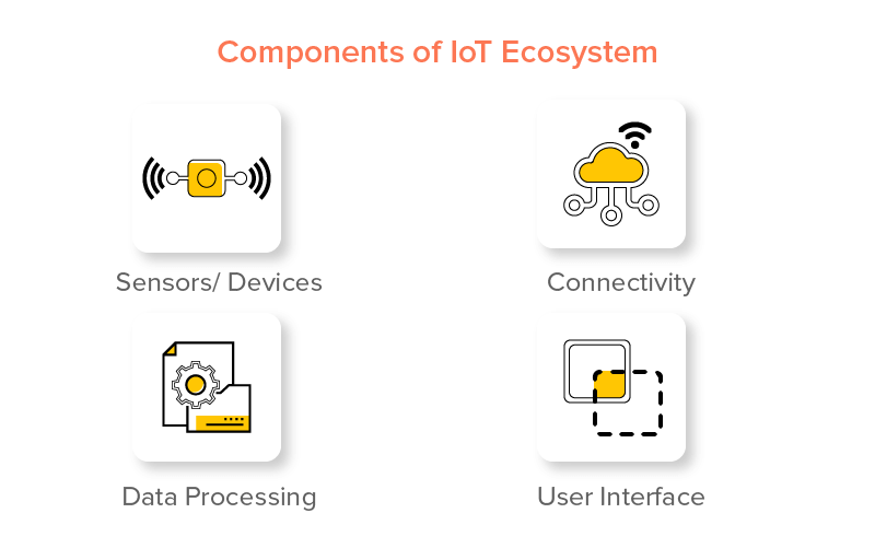 Components of IoT Ecosystem