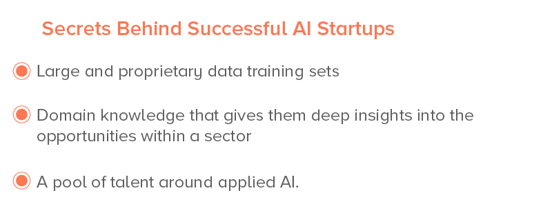 Secrets Behind Successful AI Startups