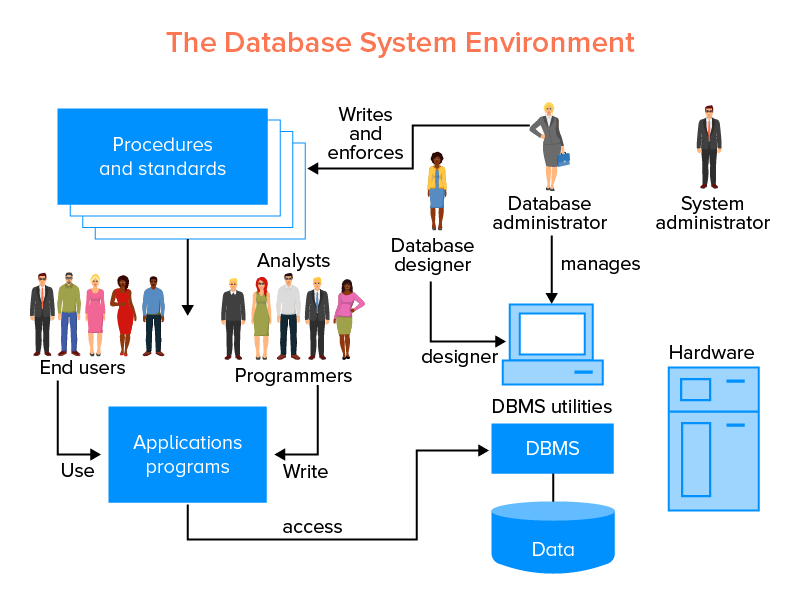 The Database System Environment