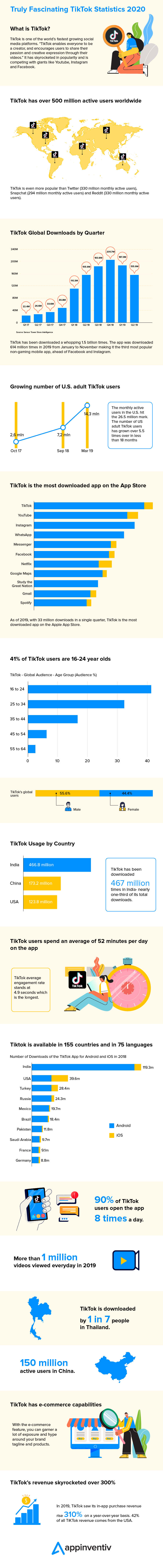 Tiktok statistics infographics
