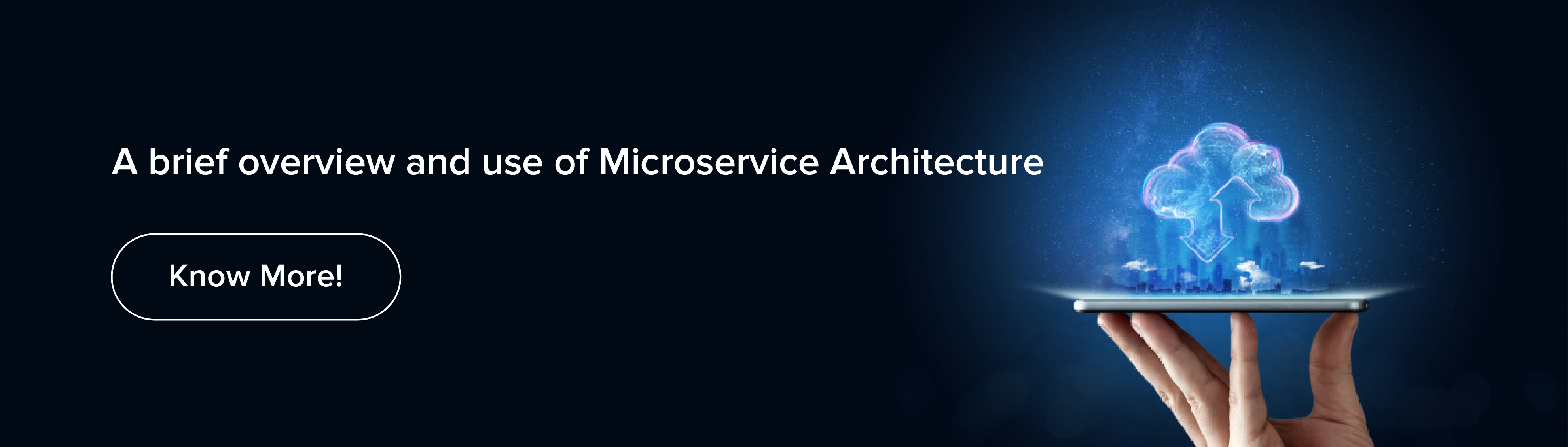 use of Microservice Architecture
