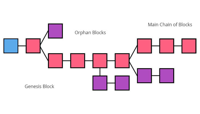 Multiple Connected Blockchains