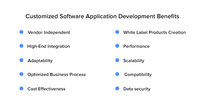Customized Software Application Development Benefits