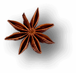 UX Strategy for Mobile App devlopment