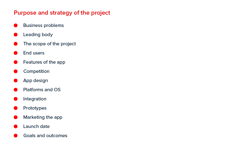 Purpose and Strategy of the Project